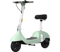 Купить - электросамокат  Электросамокат OKAI Ceetle Pro EA10C Mint Green (EA10C-MG) [130031]