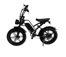 Купить - электровелосипеды  Электровелосипед ECOBIKE e-Motion V9 (1000W 60V 21Ah)