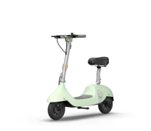 Купить - электросамокат  Электросамокат OKAI Ceetle PRO EA10C 10" 900 Вт 10.4 Ah Mint Green (EA10C-MG)