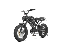 Купить - электровелосипеды  Электровелосипед Rooder 1000W 48V25Ah Black 4825Bk черный
