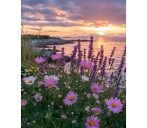 Купить - алмазную мозаику  Алмазная мозаика "Цветочный горизонт", 30*40см, на рамке S20191