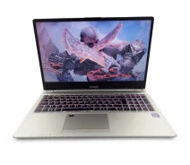 Купить - ноутбук  Ноутбук Terra 1550 Intel Core I7-8565U 16 GB RAM 256 GB SSD 500 GB HDD [15.6" FullHD] - Б/У