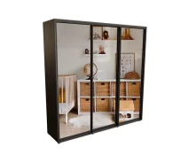 Купить - шкаф  Шкаф-купе Prime 240х60х240 см Венге Магия трехдверный Зеркало (114154)