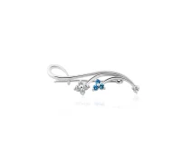 Купить - брошь  Серебряная брошь