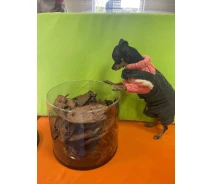 Купить - кормовые добавки для сельскохозяйственных животных  Лакомство сердце сушеное 1 кг