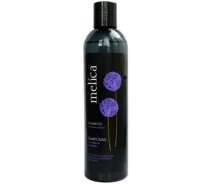 Купить - корейскую шампунь  Шампунь Melica Black с экстрактом лука для поврежденных волос 300 мл (4770416003518)