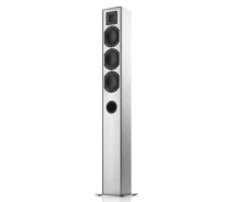 Купить - пассивную акустическую систему  Акустическая система Piega TMicro 60 AMT Silver