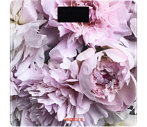 Купить - напольные весы  Весы напольные Ardesto SCB-965PEONIES