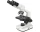 Купить - микроскоп  Микроскоп Bresser Erudit Basic Bino 40x-400x (922746)