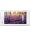 Фото № 2 Sony Xperia M C1905 White