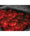 Фото № 9 Газовый гриль Napoleon R425