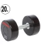 Фото № 1 Гантель цельная профессиональная Life Fitness (1шт) SC-80081-20 20кг (полиуретановое покрытие, вес 20кг)