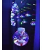 Фото № 3 Новогодняя гирлянда штора Шарики с наполнением Дед Мороз 3х0.7м 200 Led 10 шаров (Цветная) (307202)