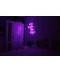 Фото № 7 Неоновая светодиодная вывеска neon led Who made the rules 67х59 см