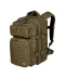 Фото № 1 Рюкзак тактический Ares Baroud Box 40 л Olive