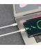 Фото № 5 Кабель USB BOROFONE BX44 High-energy Type-C to Type-C (5A) (1M) (100W) Белый