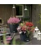 Фото № 6 Горшок Cottage Nido 27, антрацит (15193)