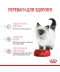 Фото № 4 Корм Royal Canin Kitten сухой для кошек 0.4 кг (3182550702379)