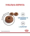 Фото № 6 Корм Royal Canin Light Weight Care сухой для снижения веса у взрослых котов 0.4 кг (3182550706810)