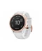 Фото № 1 Смарт-Часы Garmin Fenix 6S PRO Rose-White Gorilla Glass 010-02159-11