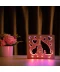 Фото № 8 Светильник ночник ArtEco Light из дерева LED "Кот и пес" с пультом и регулировкой цвета, двойной RGB