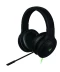 Фото № 1 Наушники Razer Kraken Essential (RZ04-01720100-R3R1) Black