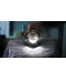 Фото № 14 Парогенератор Tefal PRO EXPRESS VISION GV9820E0