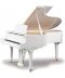 Фото № 1 PEARL RIVER GP148 White+B