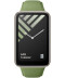 Фото № 2 Ремешок Xiaomi Smart Band 7 Pro Strap Pine Green зеленый