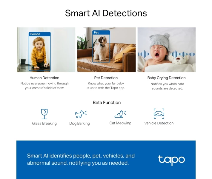Фото - камеру відеоспостереження IP-Камера TP-LINK Tapo C220 4MP N300 microSD motion detection TAPO-C220