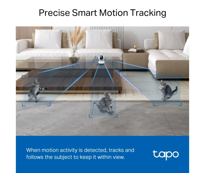 Фото - камеру відеоспостереження IP-Камера TP-LINK Tapo C220 4MP N300 microSD motion detection TAPO-C220