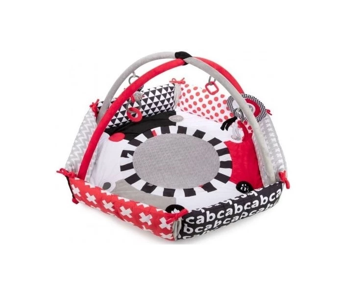 Фото - розвиваючий килимок Іграшка гімнастична Canpol babies Sensory Toys (68/077)
