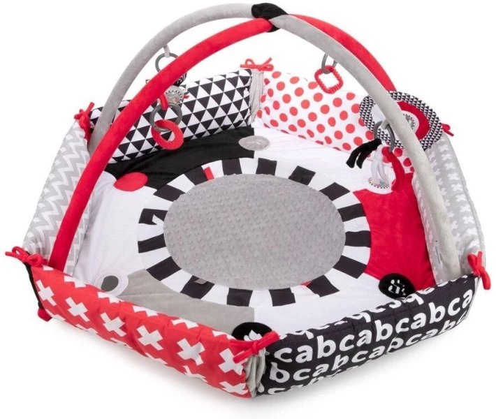Фото - розвиваючий килимок Іграшка гімнастична Canpol babies Sensory Toys (68/077)