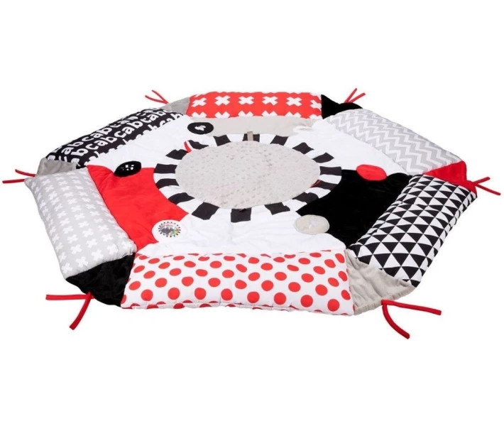 Фото - розвиваючий килимок Іграшка гімнастична Canpol babies Sensory Toys (68/077)