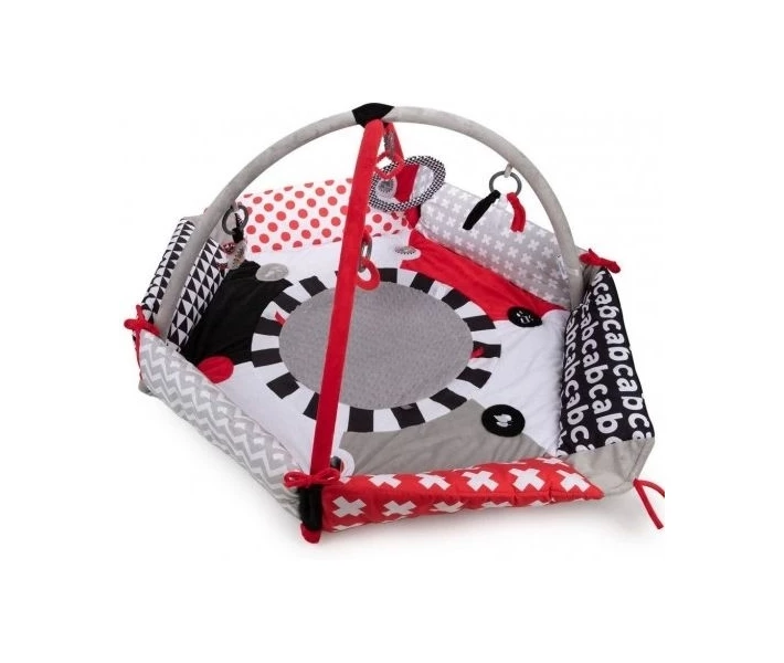Фото - розвиваючий килимок Іграшка гімнастична Canpol babies Sensory Toys (68/077)