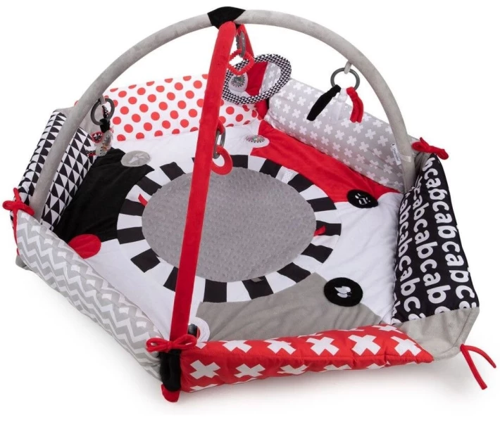 Фото - розвиваючий килимок Іграшка гімнастична Canpol babies Sensory Toys (68/077)