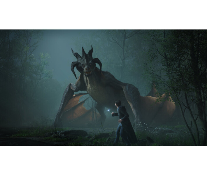 Фото - гру для приставки та ПК Гра PS5 Hogwarts Legacy BD диск