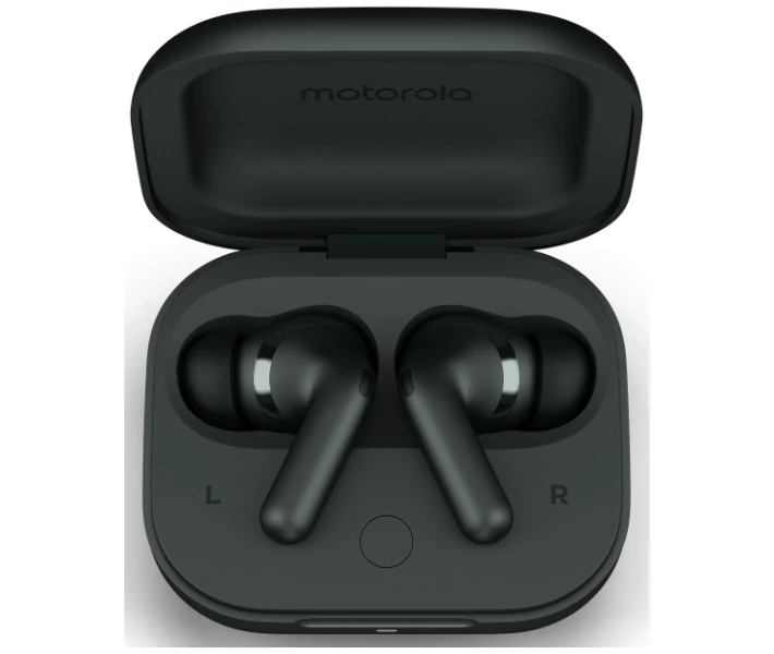Фото - навушники Навушники Motorola Moto Buds + (PG38C05743) Forest Grey