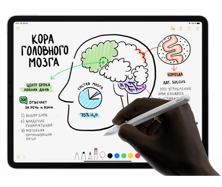 Фото - стилус Стилус Apple Pencil 2 MU8F2ZM/A