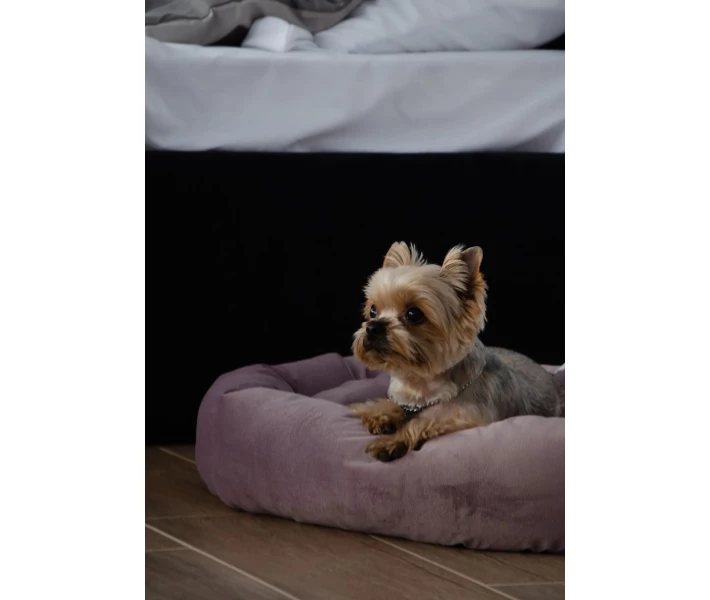Фото - спальное место Лежак Фелікс №2 Lucky Pet рожевий, 48х58х12