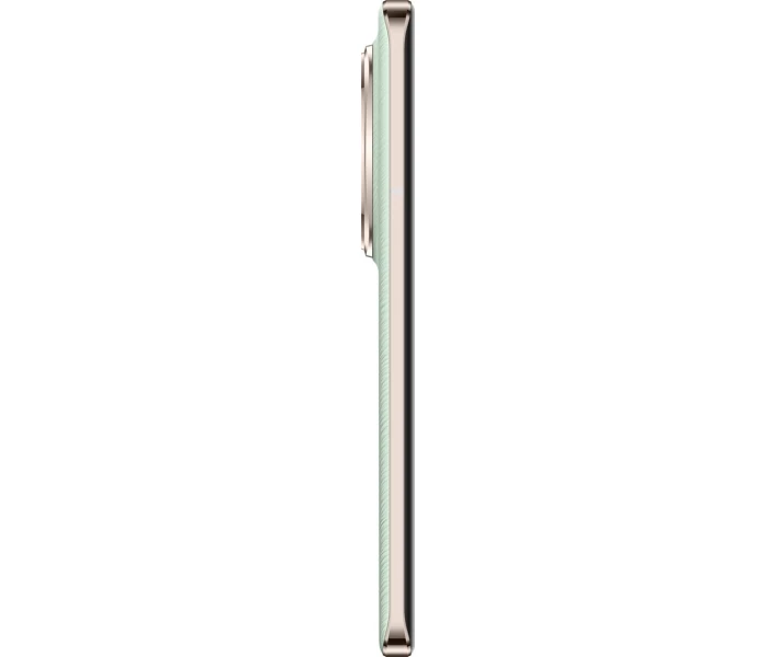 Фото - мобільний телефон і смартфон Honor Magic6 Pro 12/512GB Epi Green