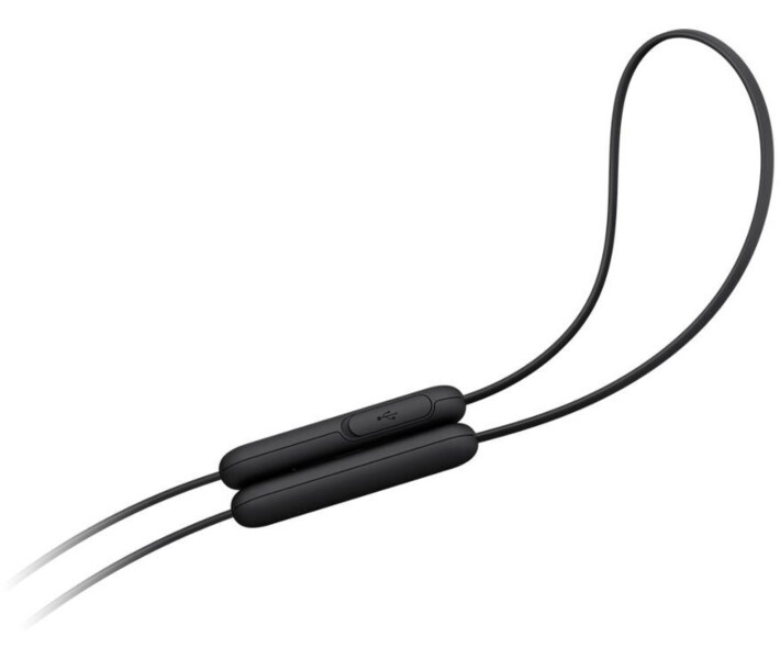 Фото - навушники Навушники Sony WI-C100 (WIC100B.CE7) Black