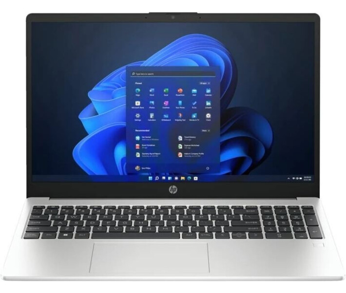 Фото - ноутбук Ноутбук HP 255-G10 (816F6EA)
