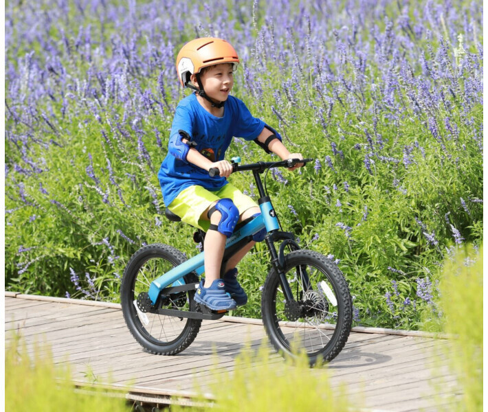 Фото - велосипед Велосипед Ninebot Kids Bike 18'' чорно блакитний