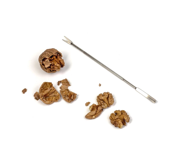 Фото - Кухонні преси та горіхоколи Інструмент для вилучення ядра горіха (83627)