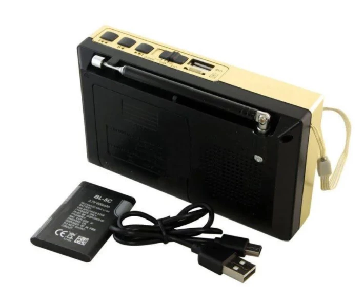 Фото - радіоприймач Радіоприймач колонка MP3 колонка USB Golon RX-6622 з ремінцем золотистий