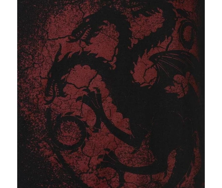 Фото - чоловічу футболку Футболка Character Character Game of Thrones Targaryen Spray XL