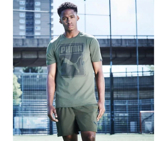 Фото - чоловічу футболку Футболка Puma Box QT Forest Night S