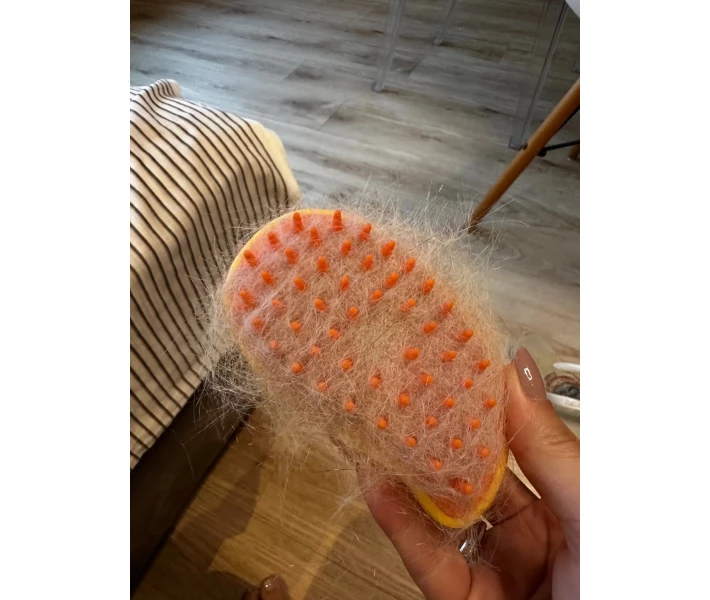 Фото - інструмент для грумінгу Парова щітка масажер спрей 3 в 1 PET SPRAY MASSAGE BRUSH для вичісування собак і котів з паровим розпилювачем - зелена (48856215)