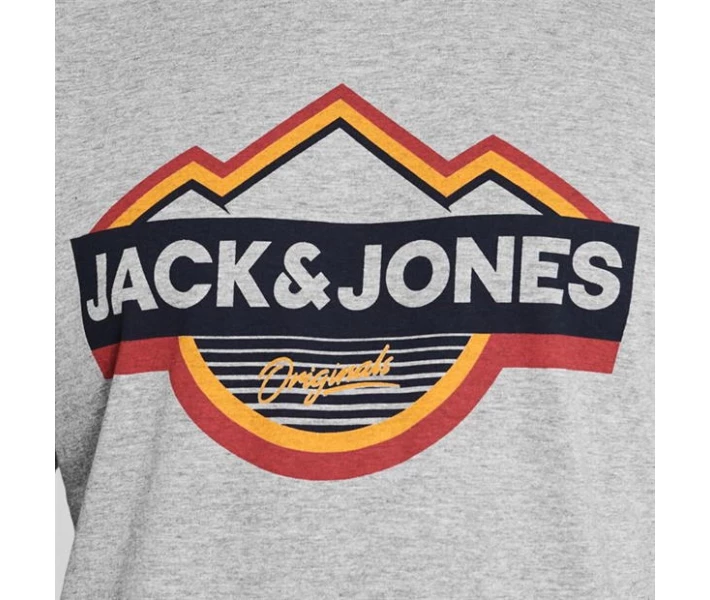 Фото - чоловічу футболку Футболка Jack and Jones Originals Dorsey LGM L